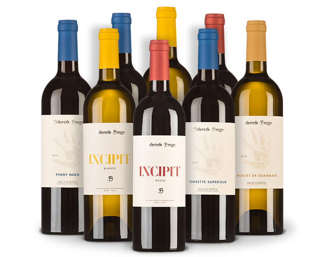 vini-collections