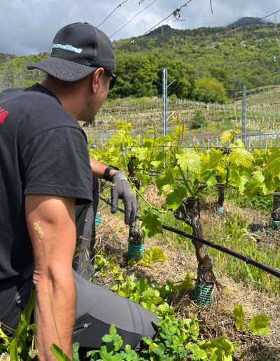 Edoardo Braga Vini - Valle d'Aosta