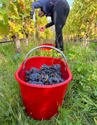 Edoardo Braga Vini - Valle d'Aosta