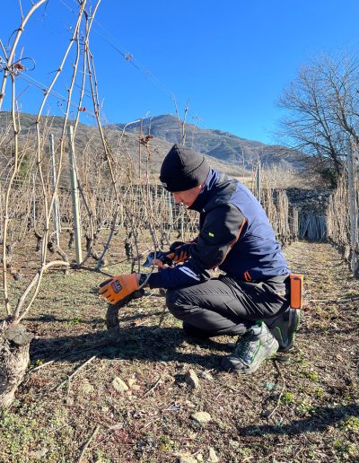 Edoardo Braga Vini - Valle d'Aosta